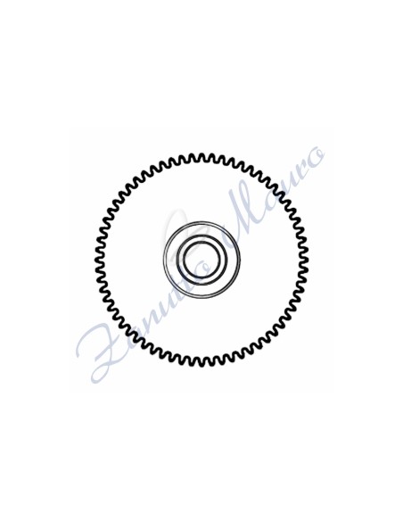 Ruota ore H4 per ETA 2834/2836 ricambio 255 altezza mm 1.76