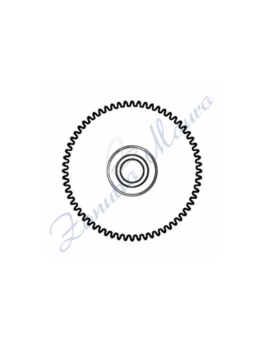 Ruota ore H4 per ETA 2834/2836 ricambio 255 altezza mm 1.76