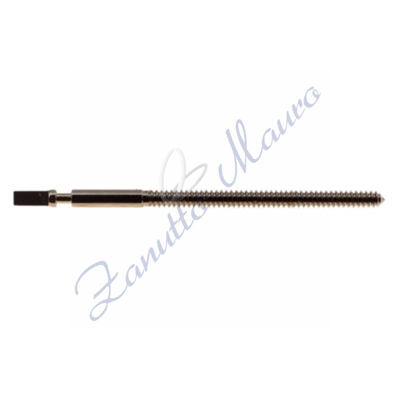 Tige pour ETA 255.411 pas 0.80 longueur mm 15