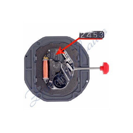 Mouvement Miyota 2453 quartz