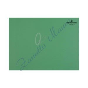 Feuille de travail Bergeon 6808-V autocollant vert mat