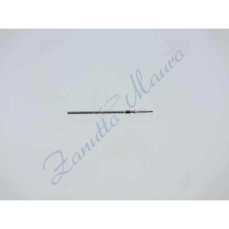 Tiges per Citizen 4613