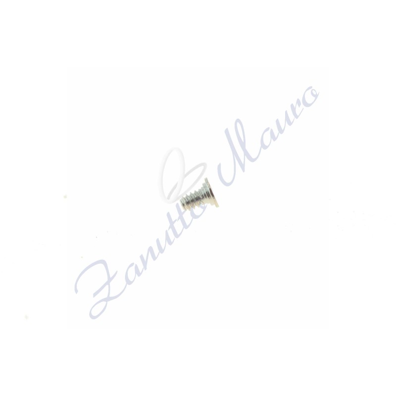 Vite brida per movimento ETA 959.001