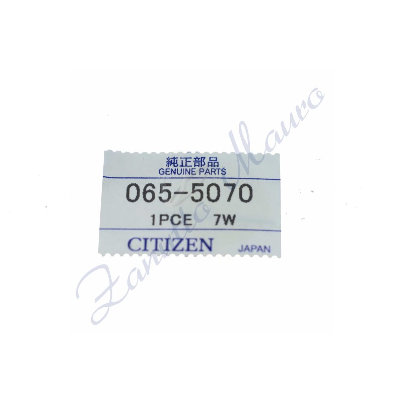 Tiges x Citizen E101 065-5070