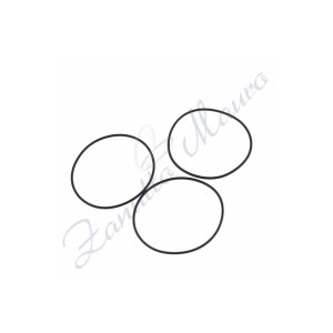 Enveloppe 3 joints 29-317-10 pour RLX