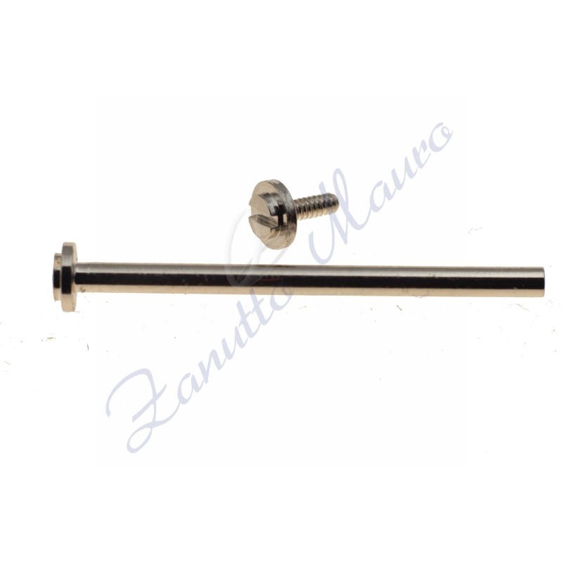 Anse a vite tipo Van Cleef mm 20 cromate mm 1,3 testa mm 3 busta da 2 pz