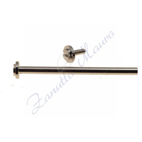 Anse a vite tipo Van Cleef mm 24 cromate mm 1,3 testa mm 3 busta da 2 pz