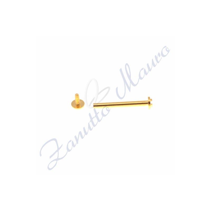 Assortiment de 100 boutons de pression en acier doré de type Van Cleef - SML134