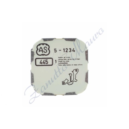 Cache-trou pour AS 1234