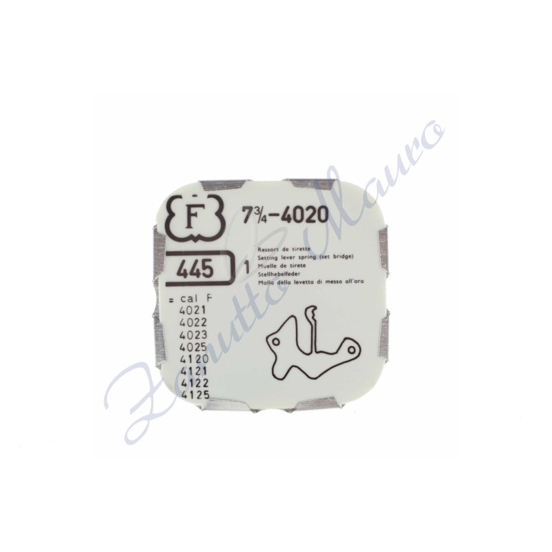 Cache-trou pour Felsa 4020