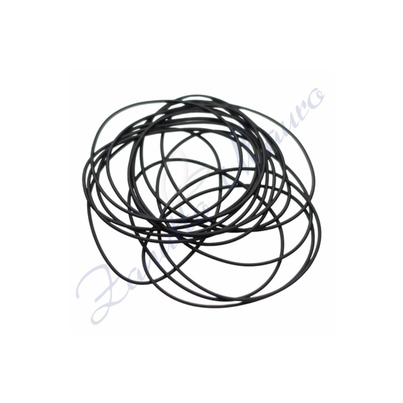 O-Rings sezione mm 0,50 diametro 31,00 confezione da 15 pezzi