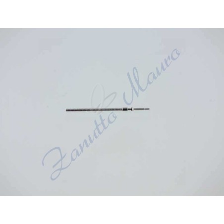 Tiges per Citizen 4613