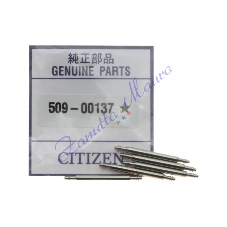 Ansa Citizen 509-00137 millimetri 21 Confezione da 5 pezzi - uguale a 509.00137