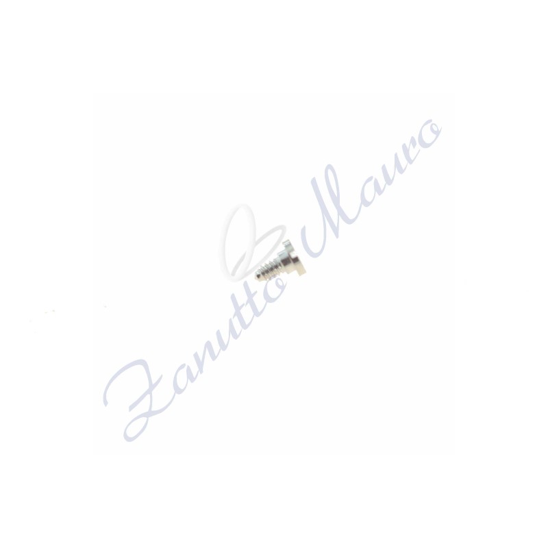 Vite brida per movimento ETA 976.001