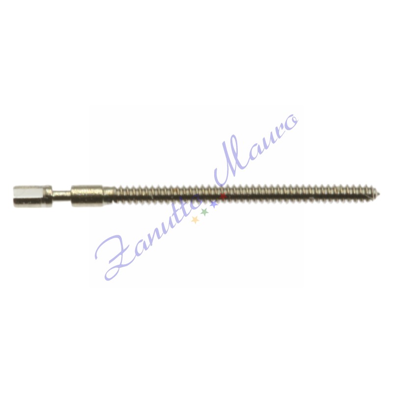 Tiges per ETA 210.001 - 001762