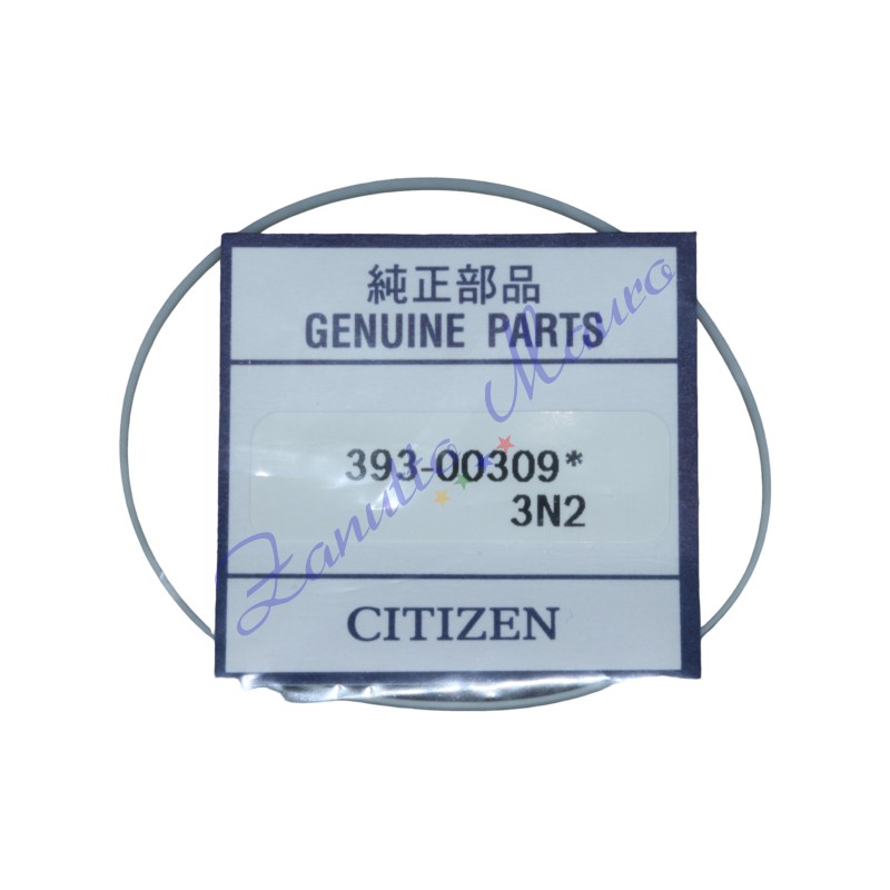 Guarnizione fondo cassa Citize 393-00309 per modello E670-S053781 HST - uguale a 393.00309