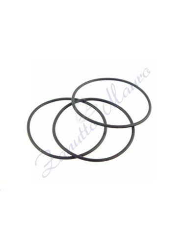 O-Rings sezione mm 0,80 diametro 30,50 busta da 3 pezzi
