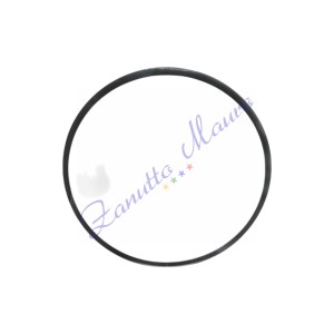 Guarnizione Citizen 393-7683 - uguale a 393.7683