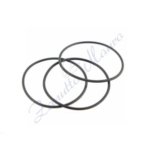O-Rings sezione mm 0,40 diametro 12,50 busta da 3 pezzi