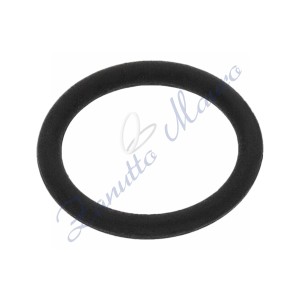 Guarnizione per tubo Rolex 29-06011 compatibile