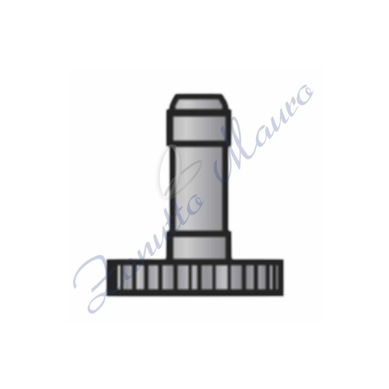 Pignone calzante libero H3 ETA 7750 ricambio 243 ricambio 31.081.00 - 305840