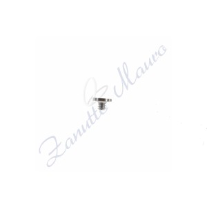 Vite massa oscillante ETA 7750 ricambio 51143 codice 22.010.01