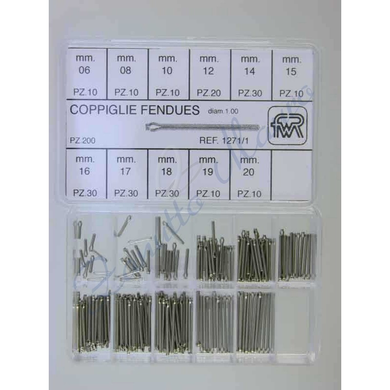 Assortimento 200 coppiglie diam.1,00 mm