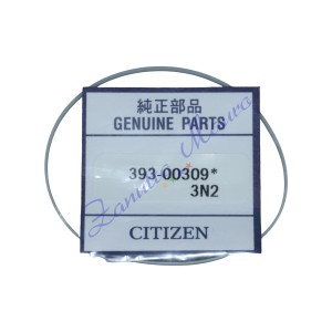 Guarnizione fondo cassa Citize 393-00309 per modello E670-S053781 HST - uguale a 393.00309