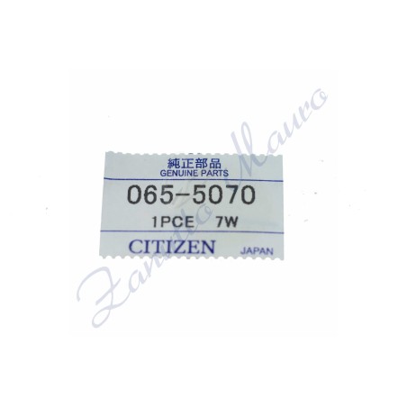 Tiges x Citizen E101 065-5070