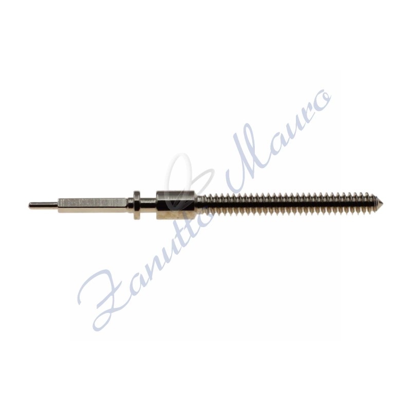 Tige per movimento meccanico ETA 980