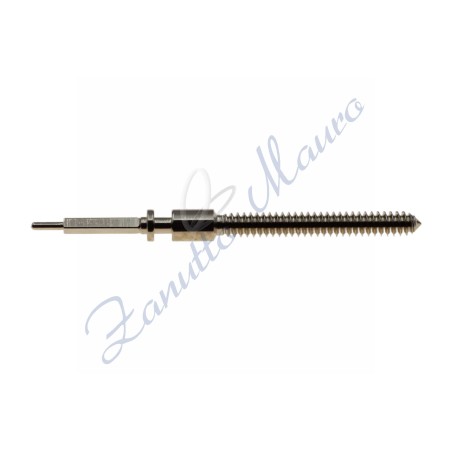 Tige per movimento meccanico ETA 980