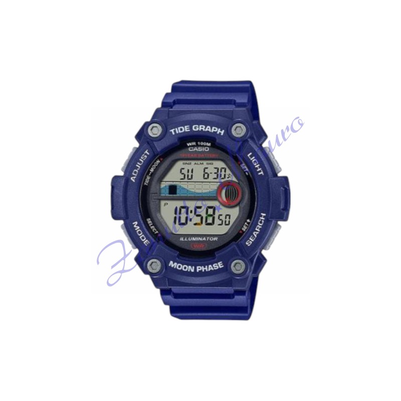 Orologio Casio modello WS-1300H-2