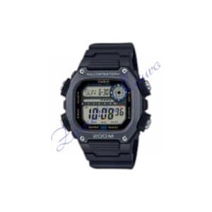 Orologio Casio modello DW-291HX-1