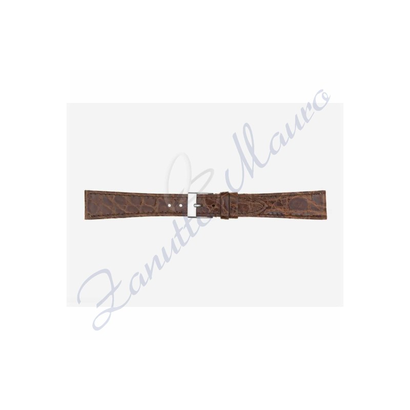 Cinturino 517/C in vera pelle coccodrillo piatto mm 16x14 marrone brown