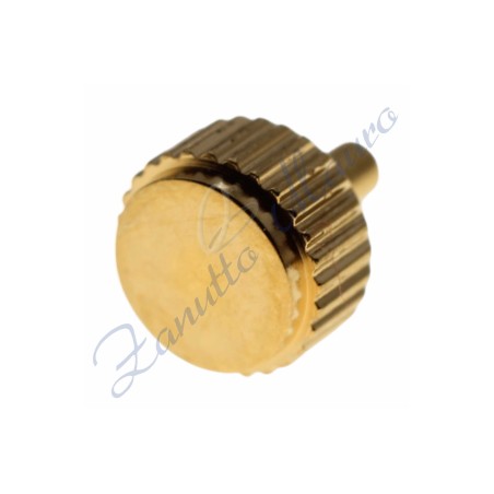 Corona  Lorenz impermeabile in acciaio diametro 4,5 A2,5 T2,5 P0,90 C1,2