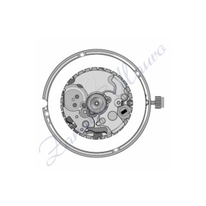 Movimento ETA 256.031 quarzo