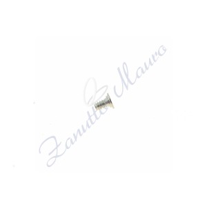 Vite brida per movimento ETA 959.001