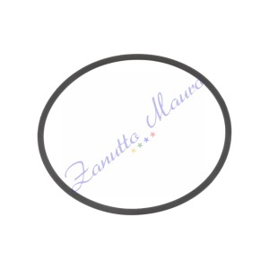 Guarnizioni Flat IsoSwiss 120 24,90x22,10 h 0,50 busta da 3 pezzi